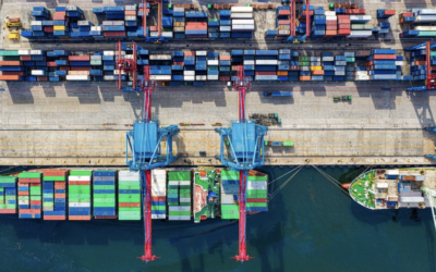 Traceability in Supply chain: Why it matters