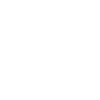 Apihappi Logo